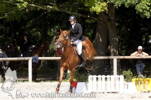 CFCC 2018 00993