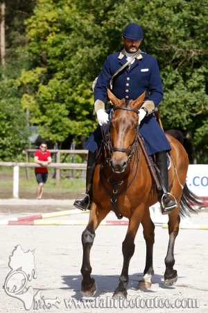 CFCC 2018 00015