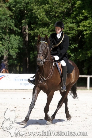 CFCC 2018 00070