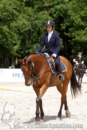 CFCC 2018 00162