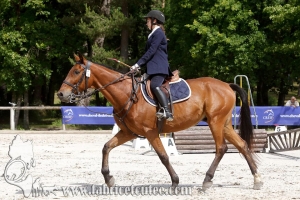 CFCC 2018 00167