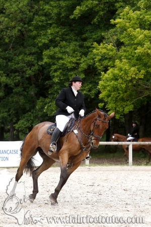 CFCC 2018 00262
