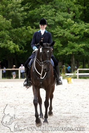 CFCC 2018 00291