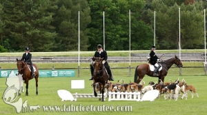 Fontainebleau 2018 0014