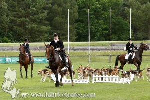Fontainebleau 2018 0015