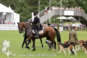 Fontainebleau 2018 0025