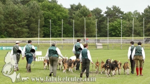 Fontainebleau 2018 0070