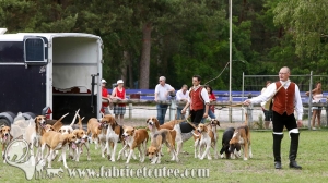 Fontainebleau 2018 0074