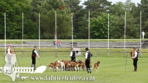 Fontainebleau 2018 0079