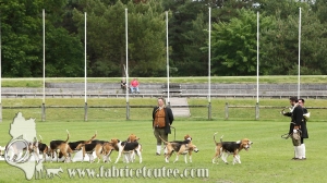 Fontainebleau 2018 0084