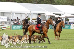 Fontainebleau 2018 0087