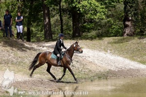 CFCC-2019-01090