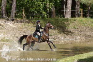 CFCC-2019-01091