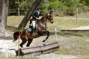CFCC-2019-01092