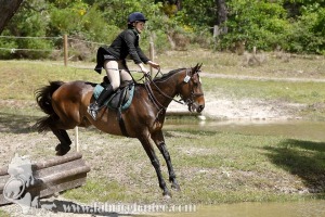 CFCC-2019-01094