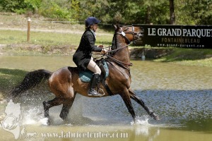 CFCC-2019-01096