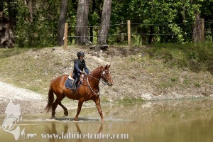 CFCC-2019-01104