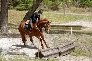CFCC-2019-01105