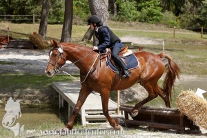 CFCC-2019-01113