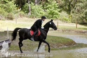 CFCC-2019-01118