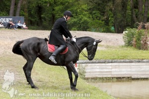 CFCC-2019-01121