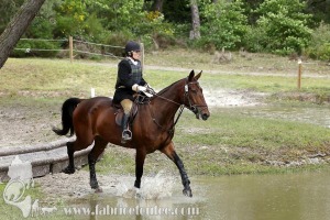 CFCC-2019-01134