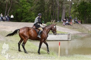 CFCC-2019-01137