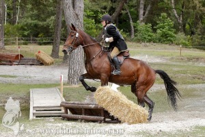 CFCC-2019-01139