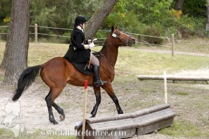 CFCC-2019-01143