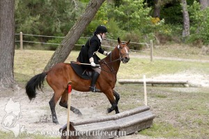 CFCC-2019-01144