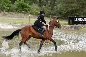 CFCC-2019-01146
