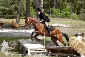 CFCC-2019-01153