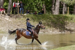 CFCC-2019-01155