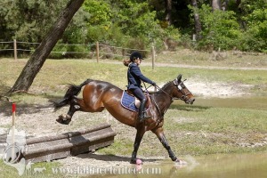 CFCC-2019-01157