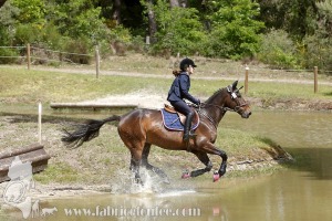CFCC-2019-01158