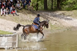 CFCC-2019-01161