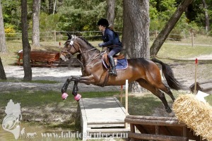 CFCC-2019-01164