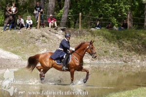 CFCC-2019-01167