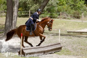 CFCC-2019-01168