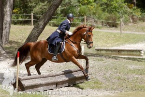 CFCC-2019-01169