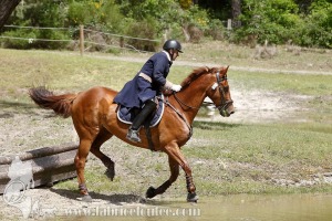 CFCC-2019-01170