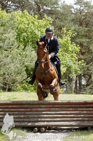 CFCC-2019-01171