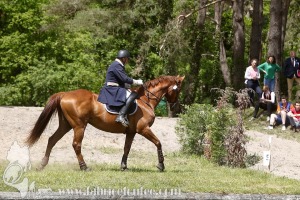 CFCC-2019-01173