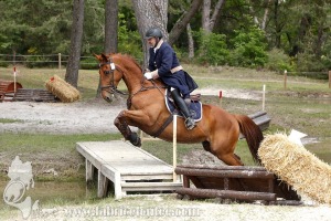 CFCC-2019-01176