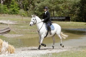CFCC-2019-01184