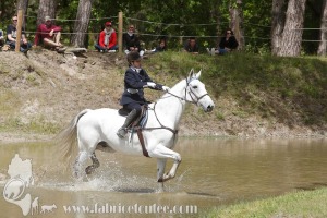 CFCC-2019-01188