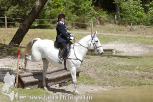 CFCC-2019-01190