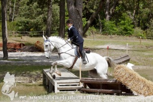 CFCC-2019-01194