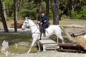 CFCC-2019-01195
