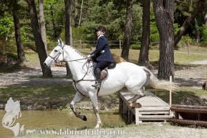 CFCC-2019-01196
